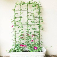 Podpera rastlín rebríková 90 cm
